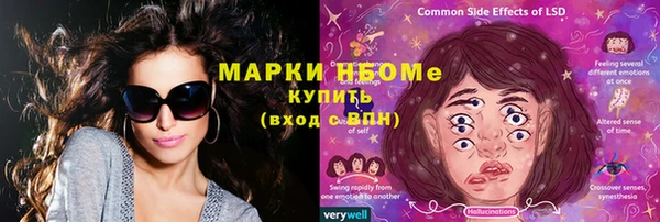 индика Абаза