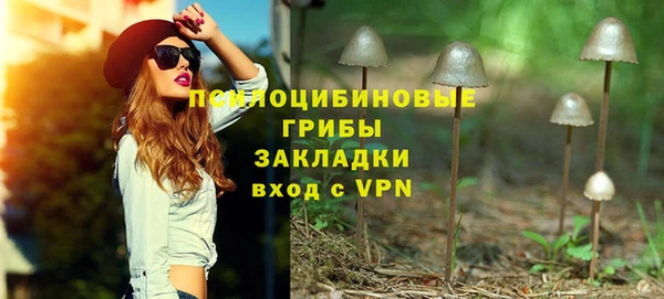 индика Абаза