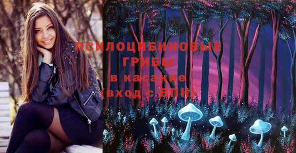 прущий лед Алексеевка
