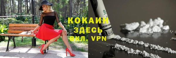 индика Абаза