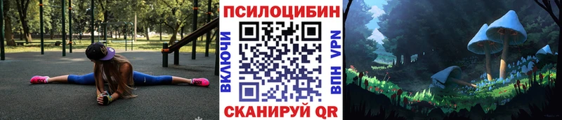 купить  сайты  Волгоград  Галлюциногенные грибы Cubensis 
