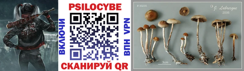 Галлюциногенные грибы MAGIC MUSHROOMS Волгоград